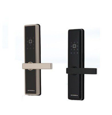 Electronic Locks
