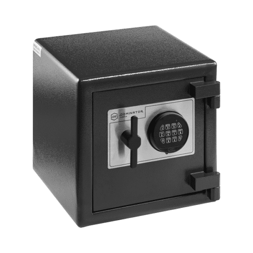 Dominator HS-1D Safe